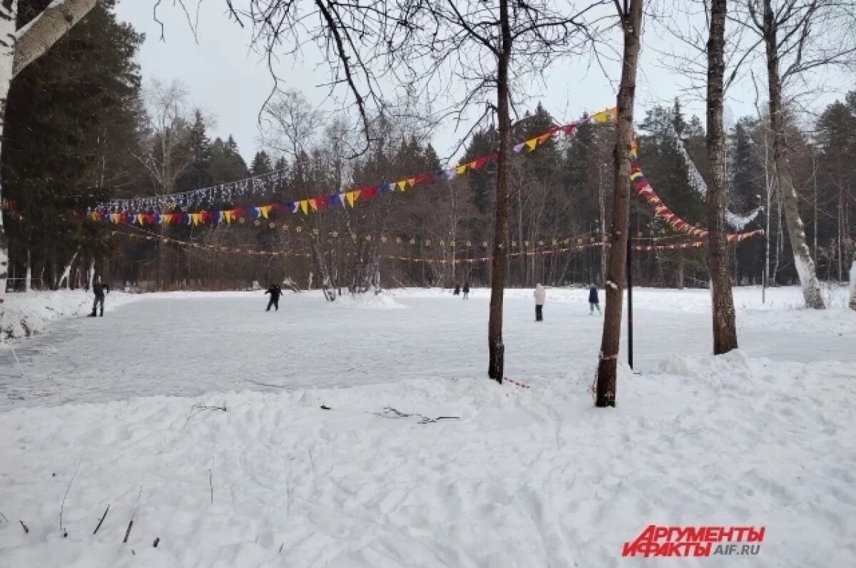    Верховный суд РФ отклонил 4 иска по участку Черняевского леса в Перми