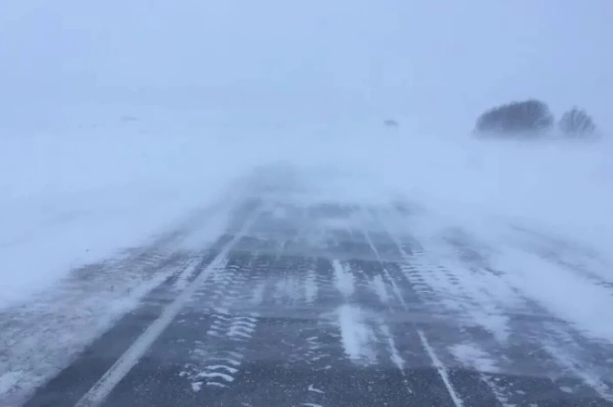    Авиарейс во Владивосток застрял на Камчатке из-за сильнейшей метели