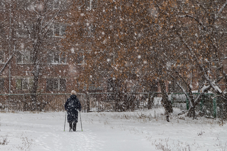    Фото Андрея Заржецкого