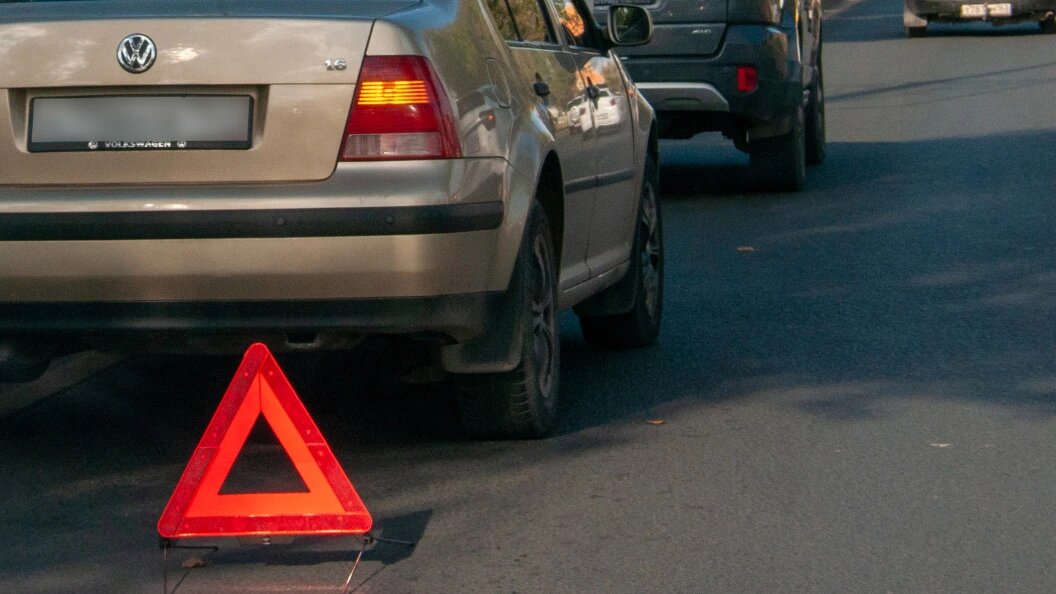    фото: Svetlana Vozmilova/Globallookpress