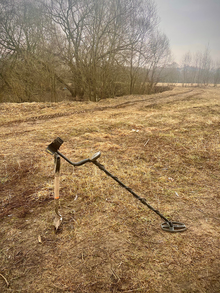 То самое поле