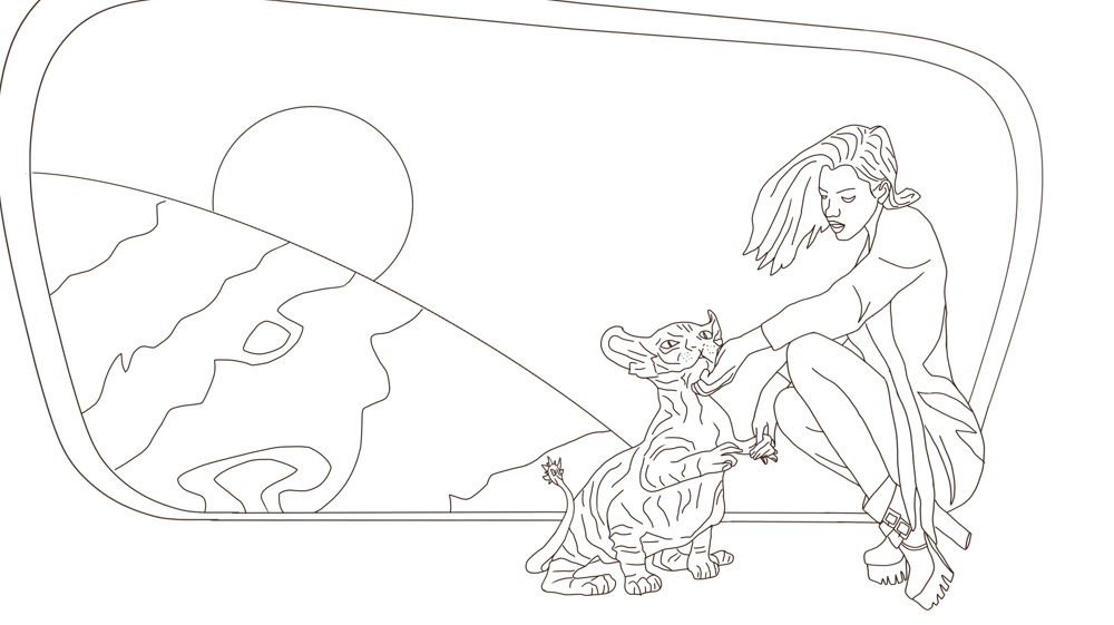 А. Викберг "Мост Магеллана"