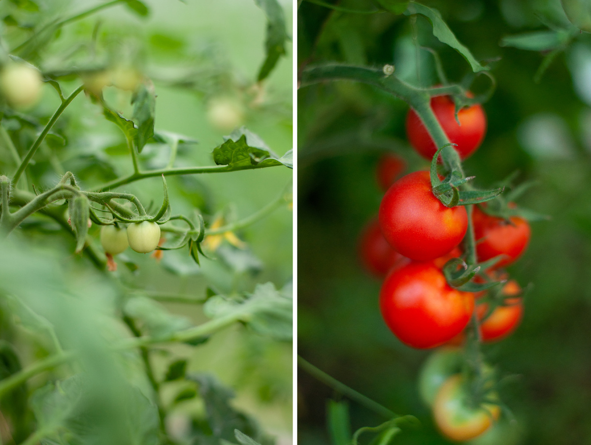Личное фото, красавчики мои))