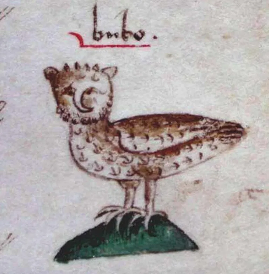 Медицинские трактаты Англии: ок.1475-1500 гг. Sp Coll MS Hunter 251 (U.4.9) 55 r. Источник: https://www.medievalists.net