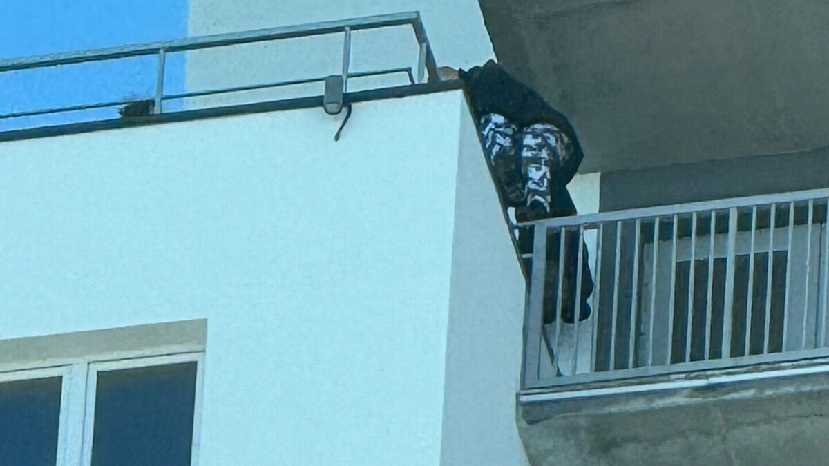     Источник: Подслушано в ПТЗ | Петрозаводск / vk