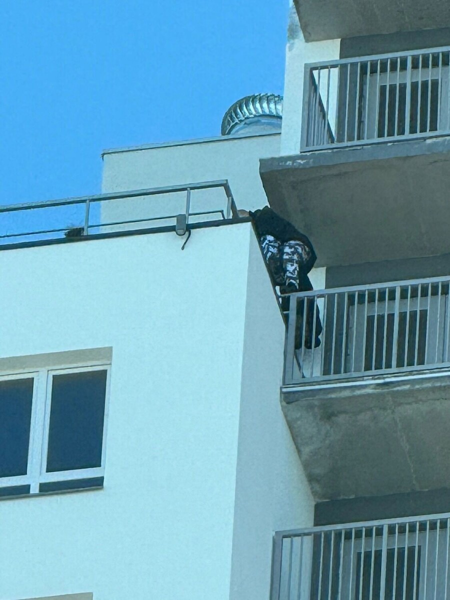     Источник: Подслушано в ПТЗ | Петрозаводск / vk