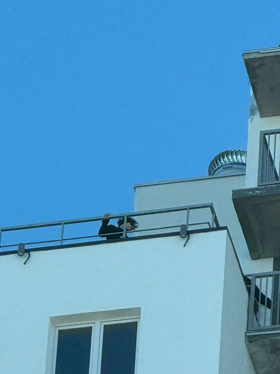     Источник: Подслушано в ПТЗ | Петрозаводск / vk