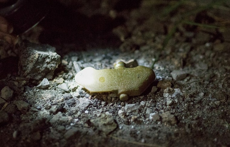    Никита Цицаги/NEWS.ru