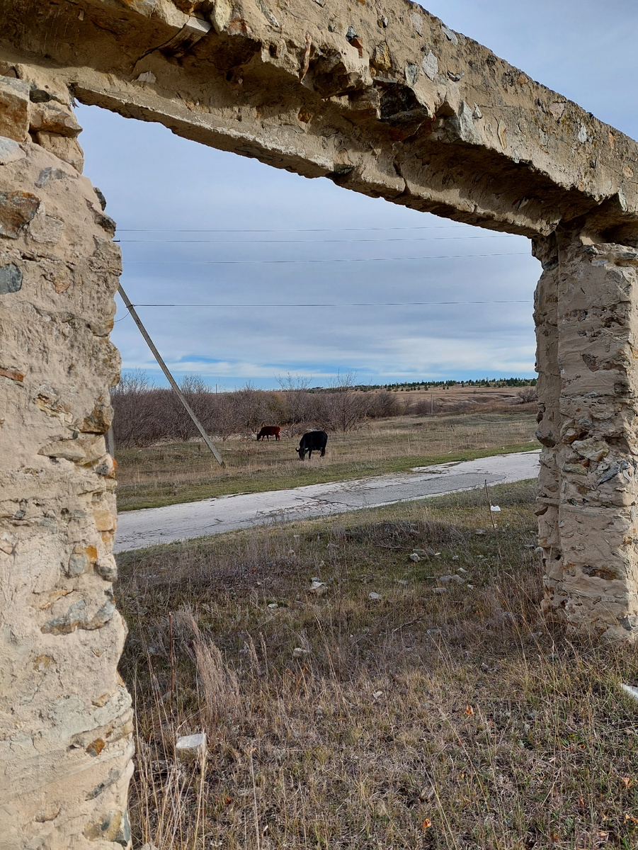 Дорога на Кучуры