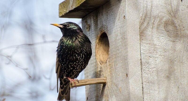    Анна Евсеева