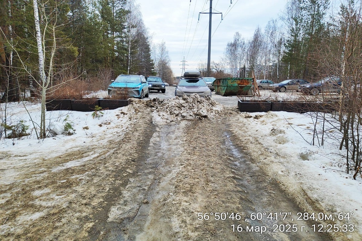 Фото: Шарташский лесной парк  📷
