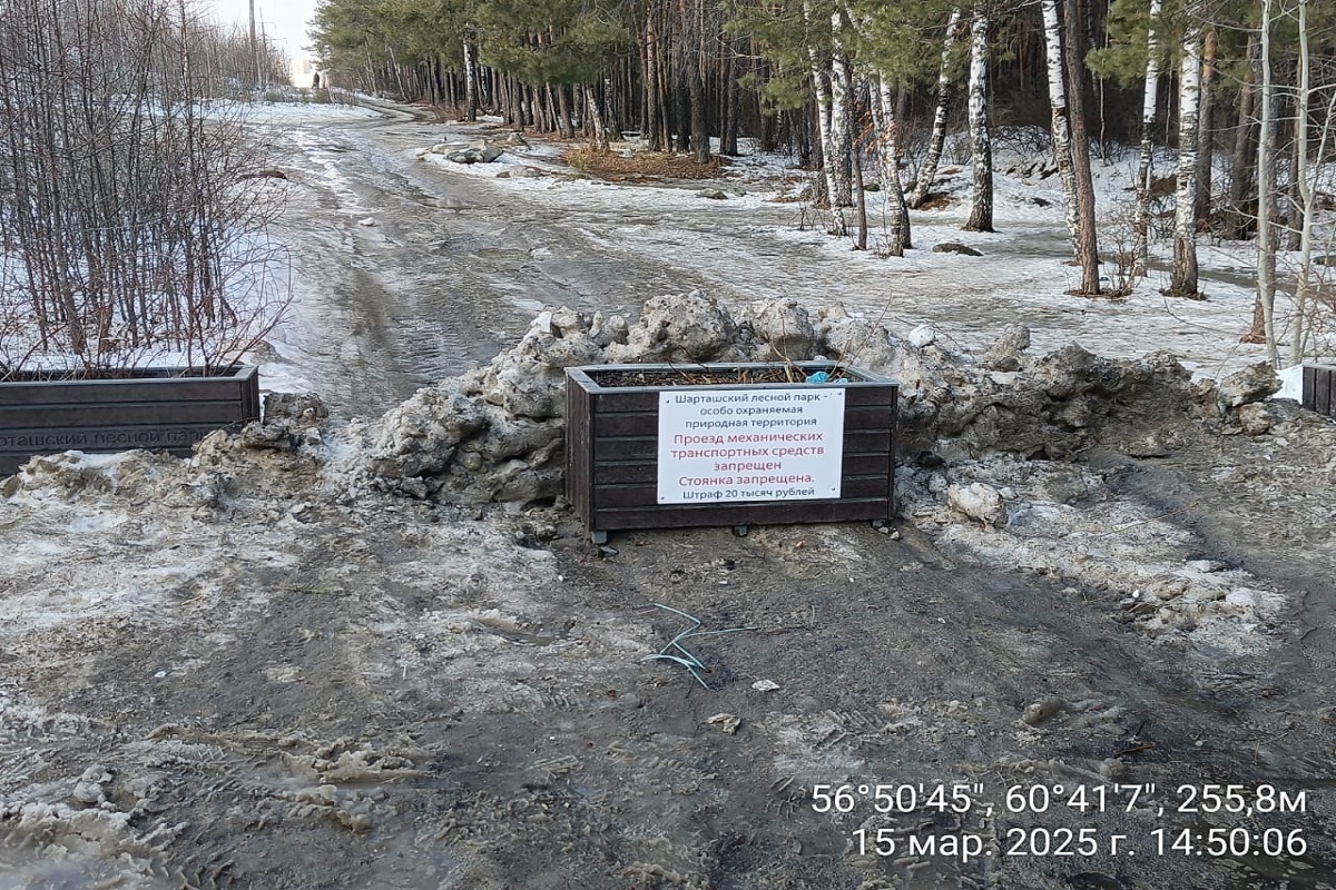Фото: Шарташский лесной парк  📷
