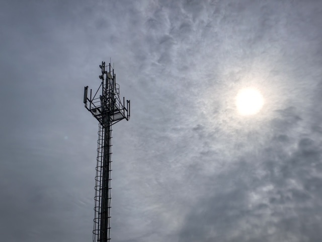 фото: МТС  📷
