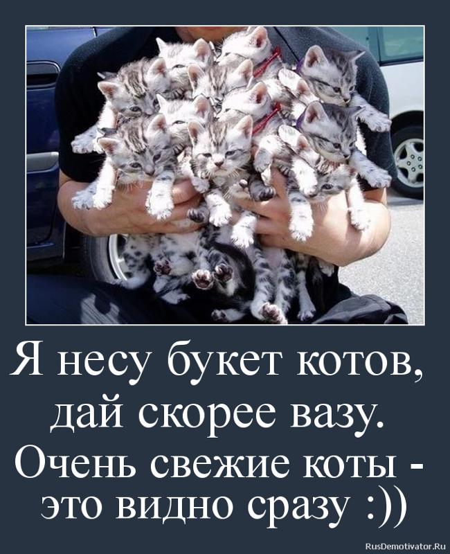 Яндекс.Картинки