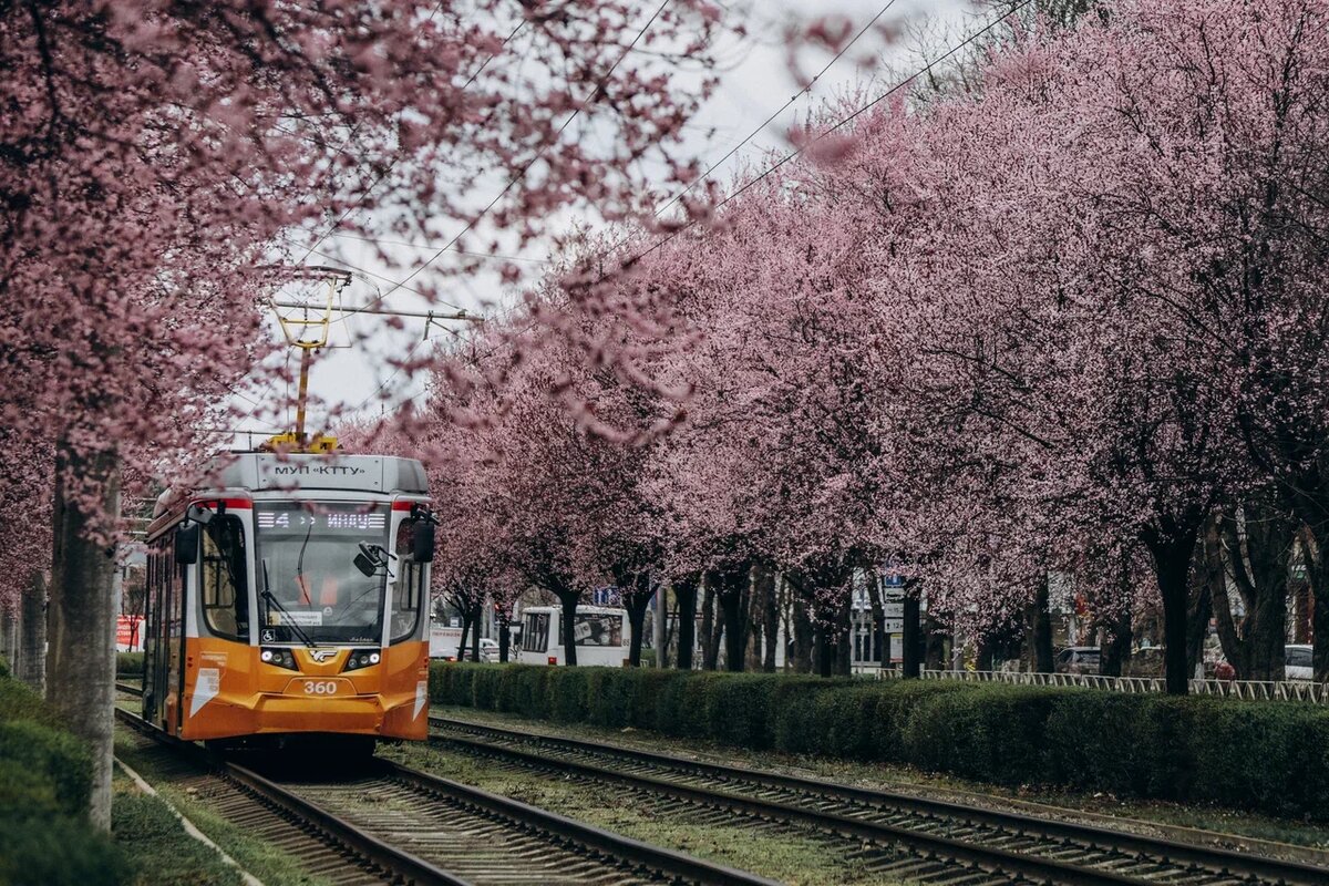 Фото: Эльвира Мясищева