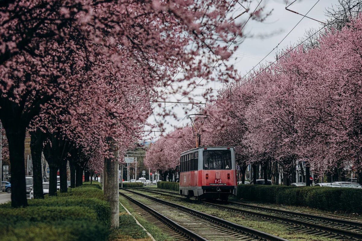 Фото: Эльвира Мясищева