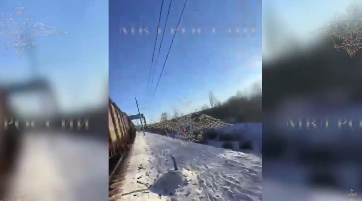    Фото: скриншот видео МВД РФ