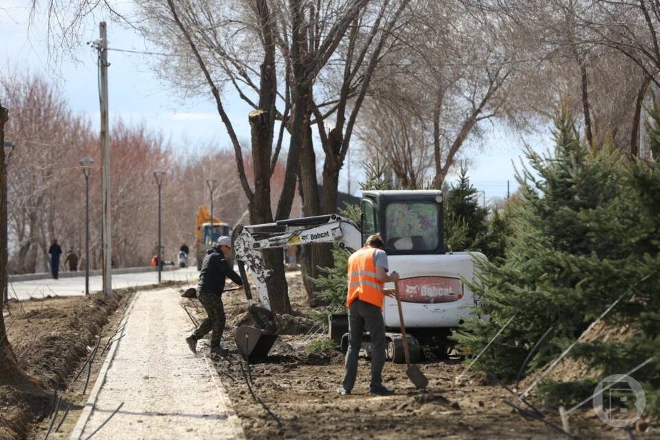    фото: Данил Савченко / "Городские вести"