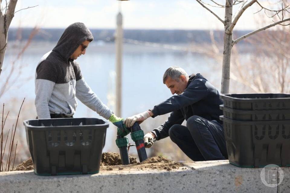    фото: Данил Савченко / "Городские вести"