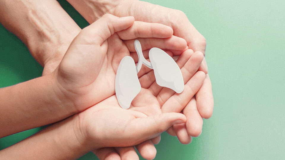 Всемирный день борьбы с туберкулезом: история и традиции праздника. Фото: shutterstock.com