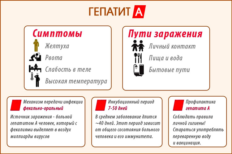 Фото: соцсети.