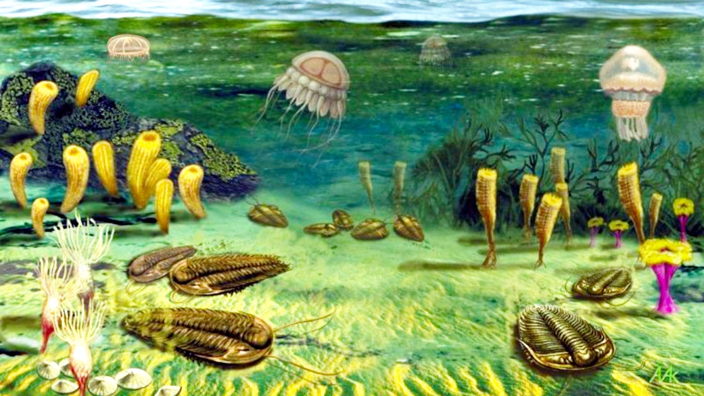 После кембрийского взрыва странных созданий меньше не стало. К ним просто прибавились не очень странные.