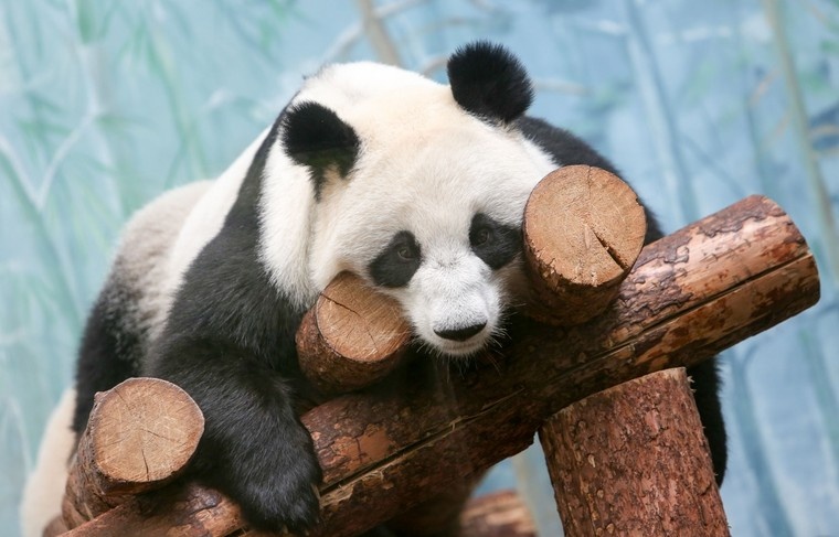    Наталья Шатохина/NEWS.ru