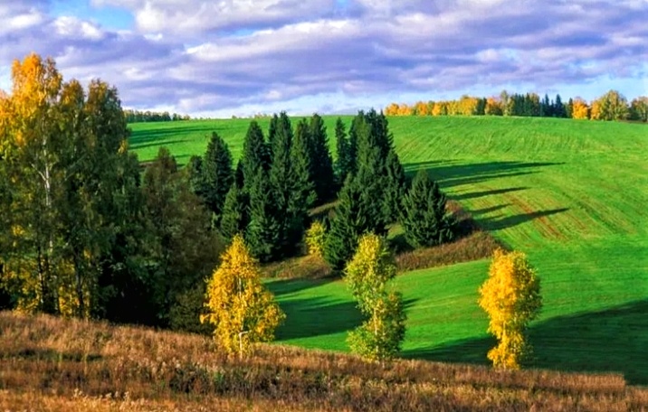 Родные просторы Удмуртии 