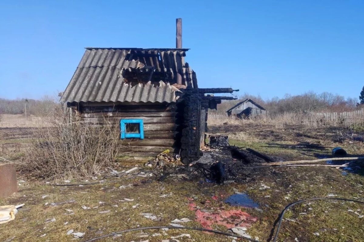    Почти 65 пожаров произошли в Псковской области на выходных