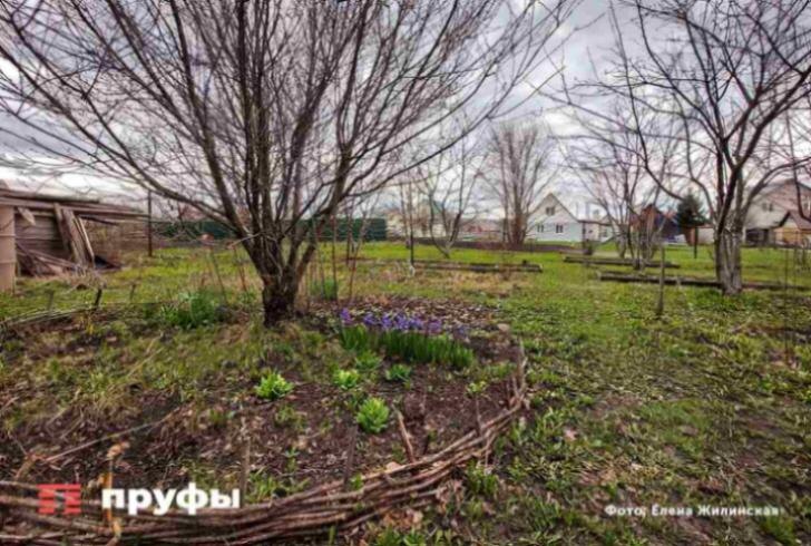    Фото: Пруфы.рф