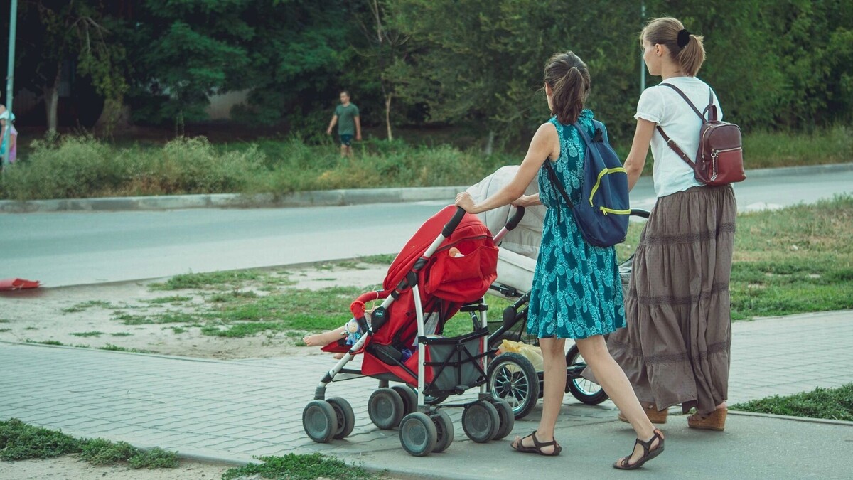     Источник: 1MI