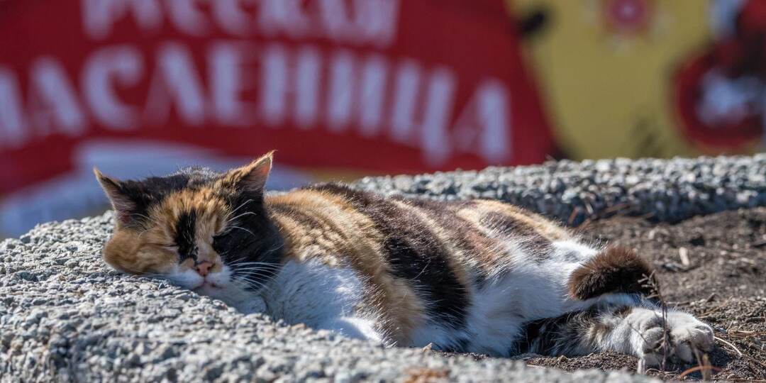 Верное средство от весенней депрессии