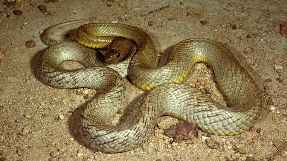 Фото: © www.globallookpress.com