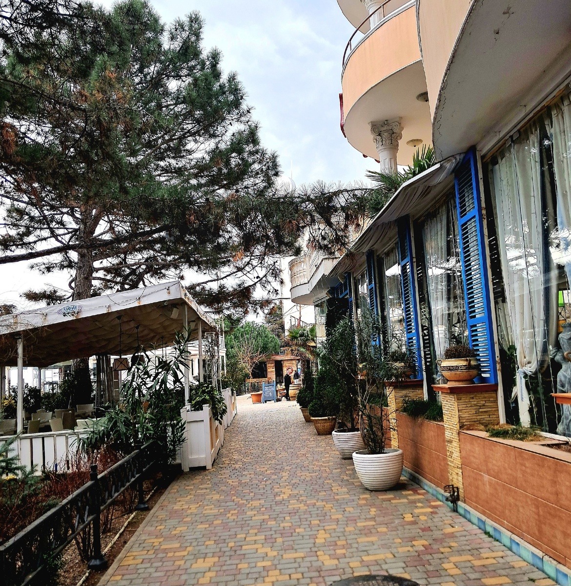 -29