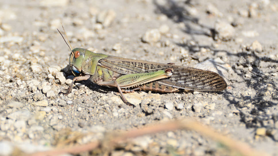 Фото: Олег Харсеев / Коммерсантъ