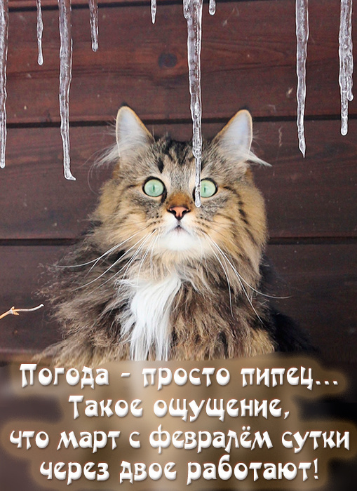 Это весёлая планета! Из интернета