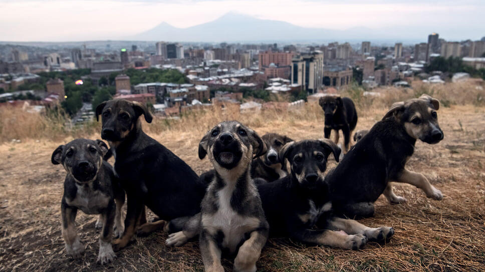 Фото: Александр Патрин / Коммерсантъ