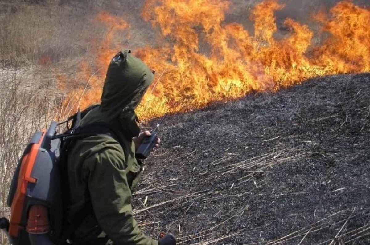    Пожароопасный сезон стартовал в Красноярском крае