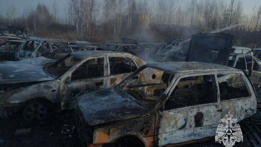    Фото: МЧС России