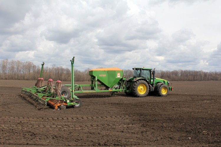    Сколько яровой пшеницы 2025 засеют в Орловской области