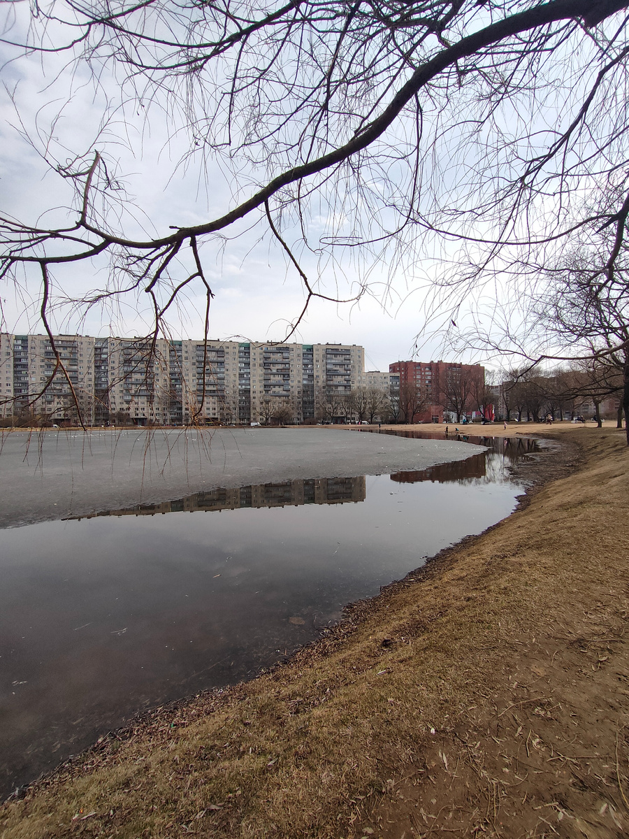 Фото автора 