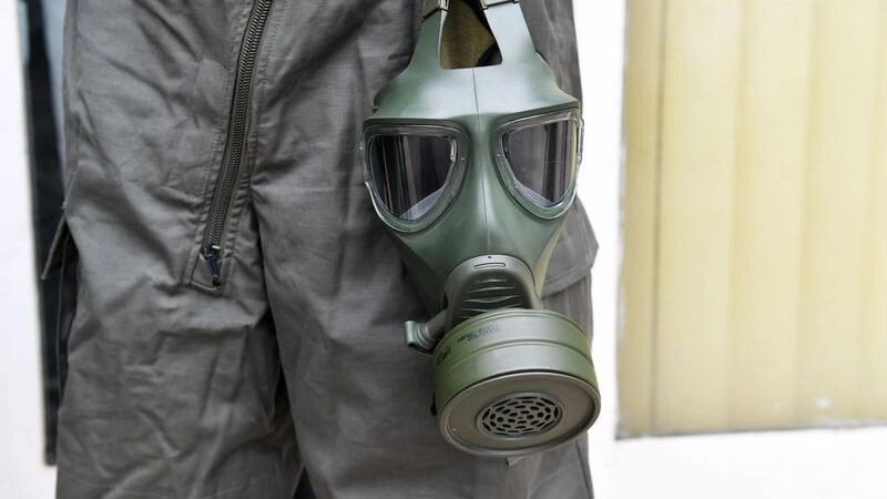    Фото: UzFoto/Shutterstock/Fotodom