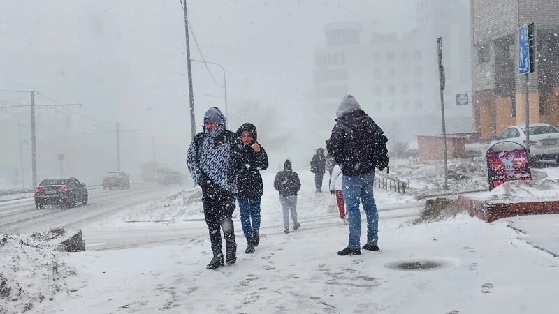     Весенняя метель накрыла Барнаул Анна Зайкова