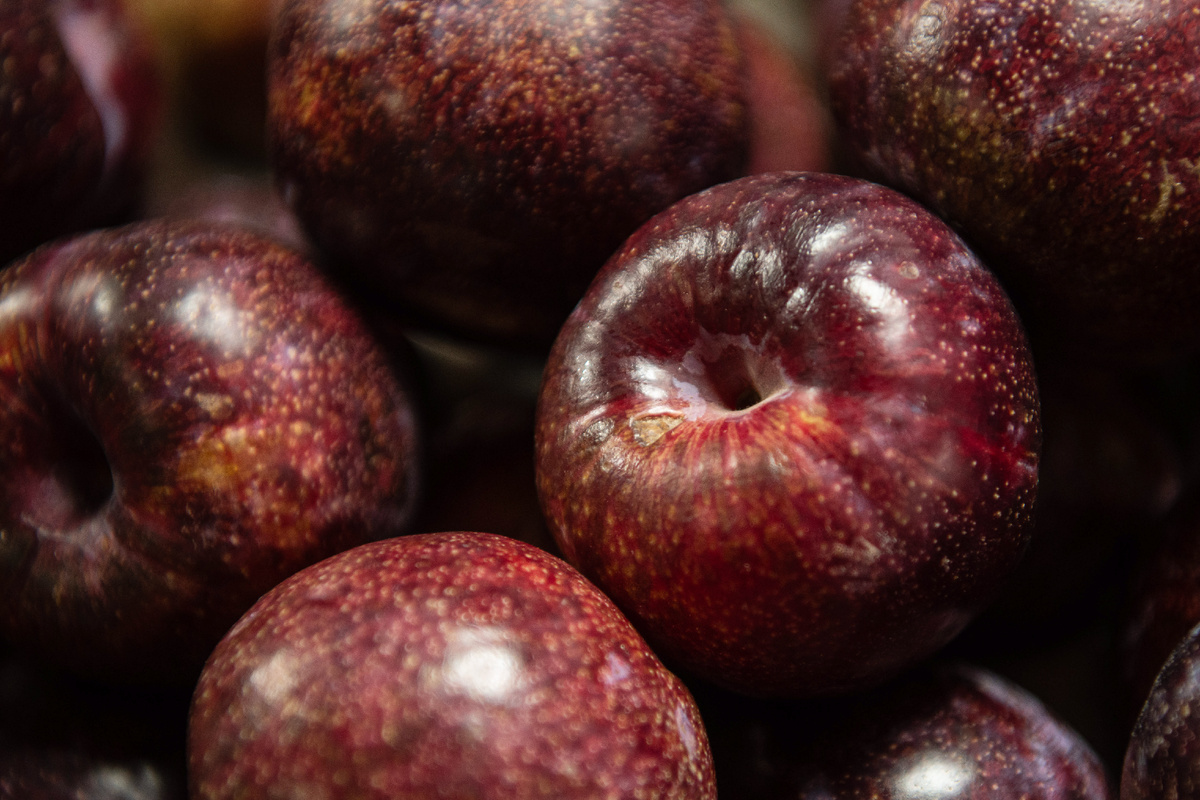 Фото: Ilya Moskovets / globallookpress.com