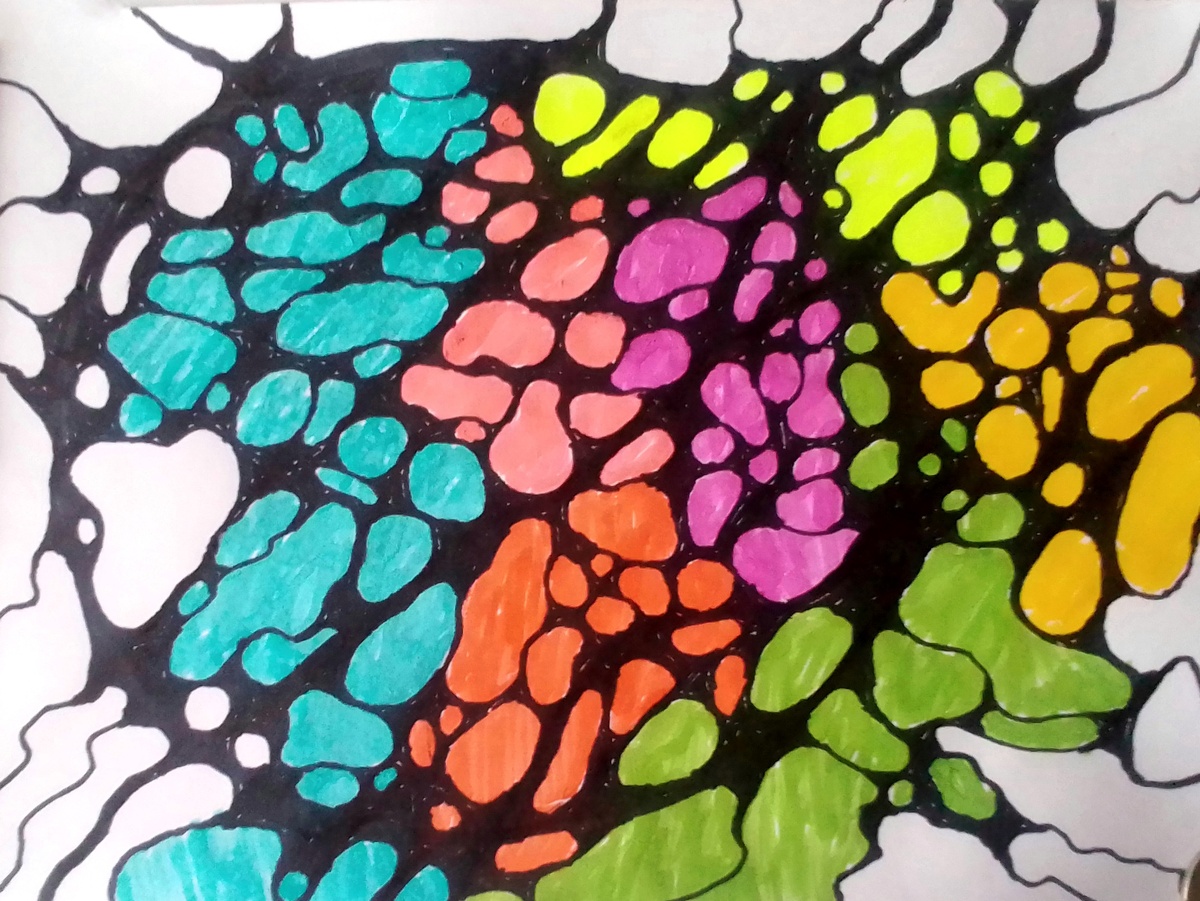 Нейрографика: фото автора