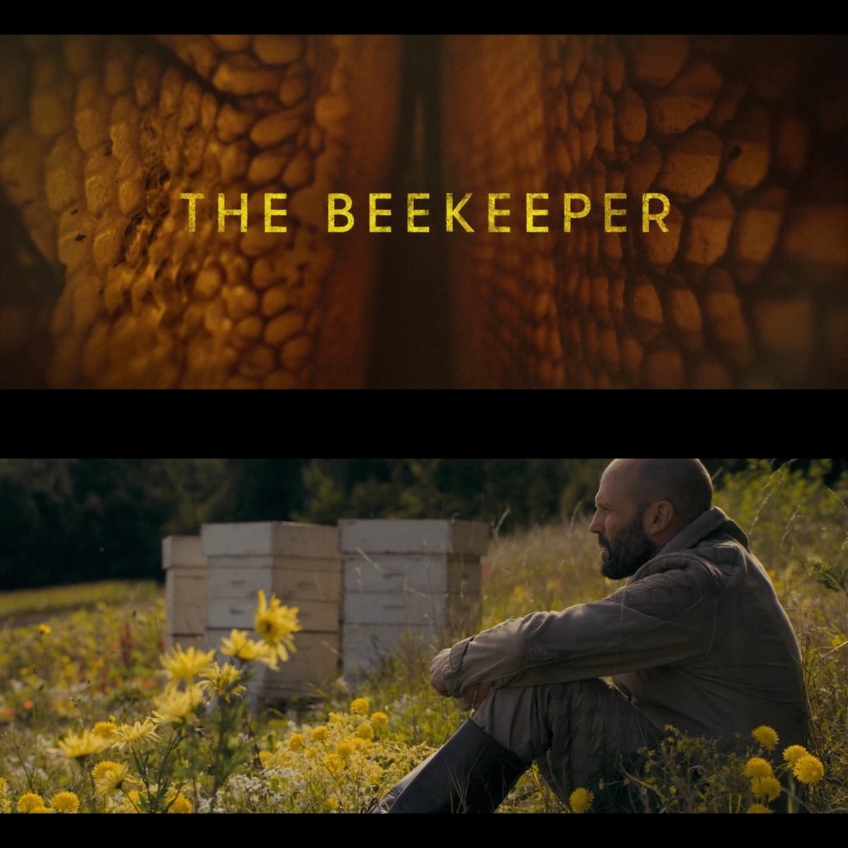 Название на иностранном языке