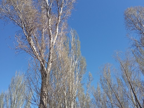 Фотография из личного архива автора