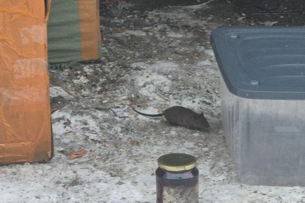    Фото: Om1 Новосибирск