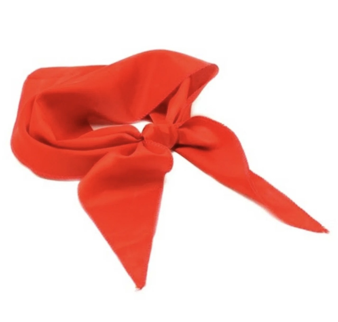 Галстук школьника из ушедшей эпохи.