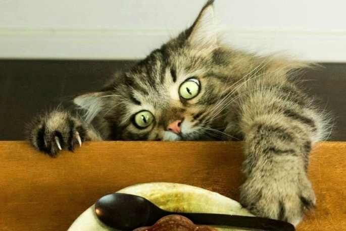 Ну дай, пожалуйста! 